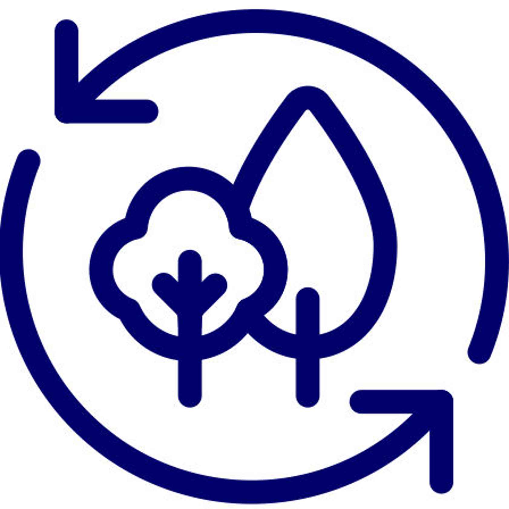 Offshore Finance Group current account